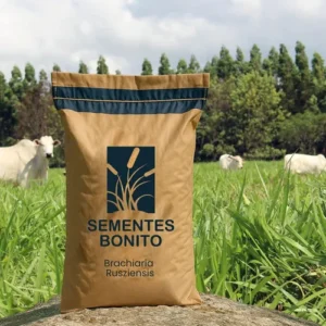 Semente Brachiaria Ruzisiensis