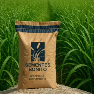 Sementes Bonito Forrageiras 10kg Sacola Brachiaria